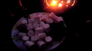 Smores by the fire pit:)